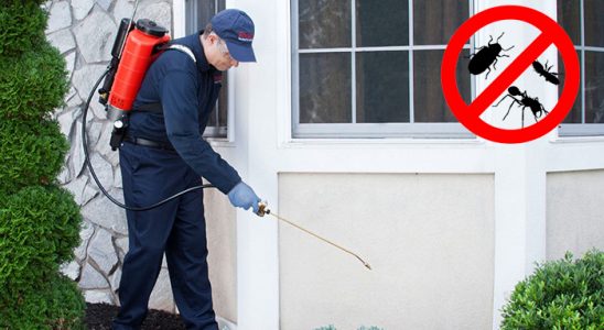 Doğubayazıt Gümüşkurt İlaçlama böcek ilaçlama ve haşere kontrolü — ilaclama-tr.com
